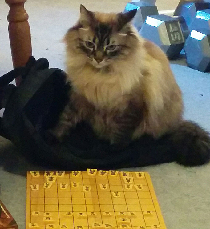 Shogi Cat